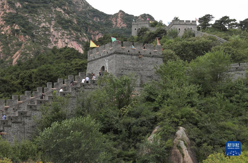 神人捕鱼都是托